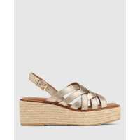 Read Wittner Reviews